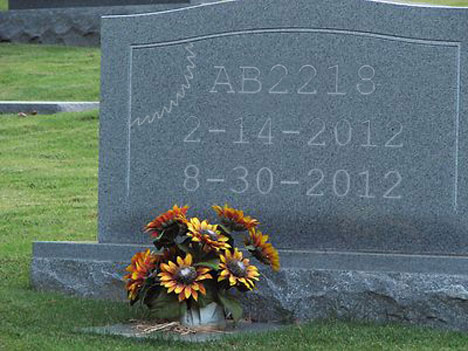 RIP AB2218